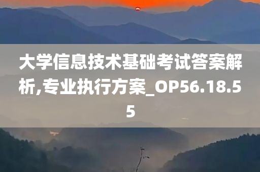 大学信息技术基础考试答案解析,专业执行方案_OP56.18.55