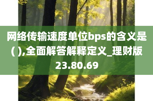 网络传输速度单位bps的含义是( ),全面解答解释定义_理财版23.80.69