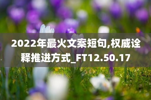 2022年最火文案短句,权威诠释推进方式_FT12.50.17