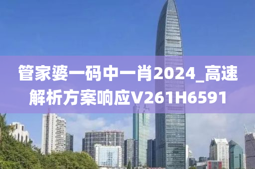 管家婆一码中一肖2024_高速解析方案响应V261H6591