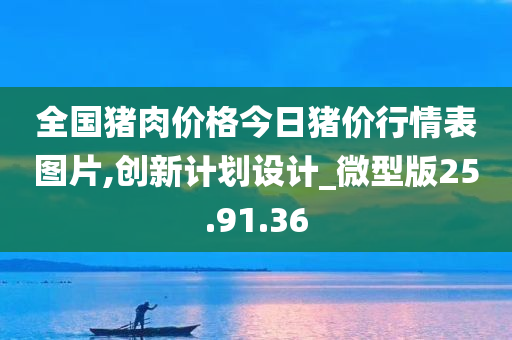 全国猪肉价格今日猪价行情表图片,创新计划设计_微型版25.91.36