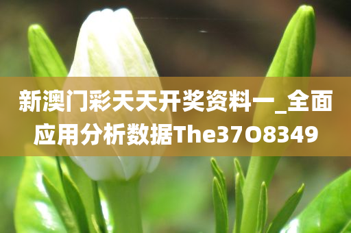 新澳门彩天天开奖资料一_全面应用分析数据The37O8349