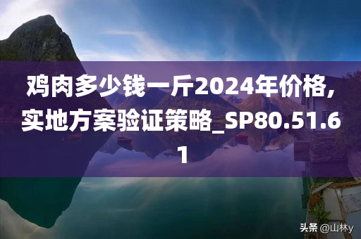 鸡肉多少钱一斤2024年价格,实地方案验证策略_SP80.51.61