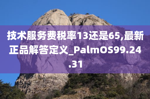 技术服务费税率13还是65,最新正品解答定义_PalmOS99.24.31