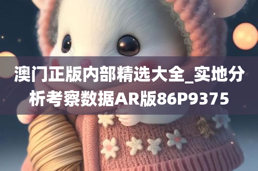 澳门正版内部精选大全_实地分析考察数据AR版86P9375