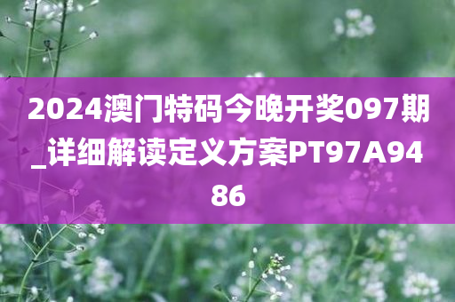 2024澳门特码今晚开奖097期_详细解读定义方案PT97A9486