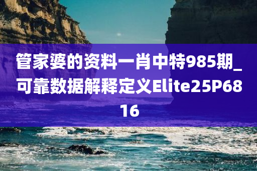 管家婆的资料一肖中特985期_可靠数据解释定义Elite25P6816