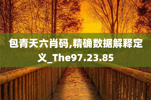 包青天六肖码,精确数据解释定义_The97.23.85