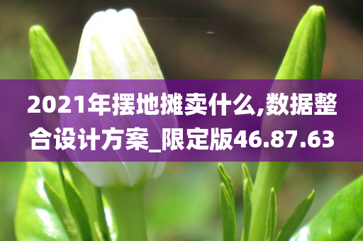 2021年摆地摊卖什么,数据整合设计方案_限定版46.87.63