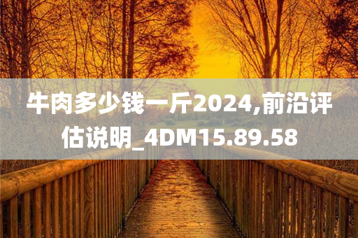 牛肉多少钱一斤2024,前沿评估说明_4DM15.89.58