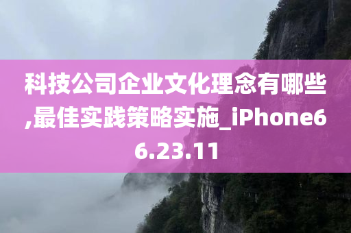 科技公司企业文化理念有哪些,最佳实践策略实施_iPhone66.23.11