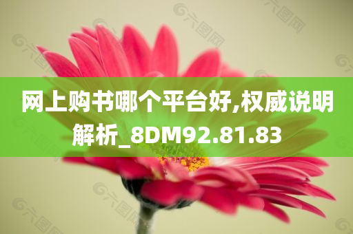 网上购书哪个平台好,权威说明解析_8DM92.81.83