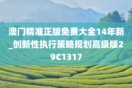 澳门精准正版免费大全14年新_创新性执行策略规划高级版29C1317