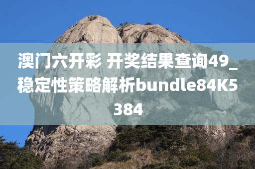 澳门六开彩 开奖结果查询49_稳定性策略解析bundle84K5384