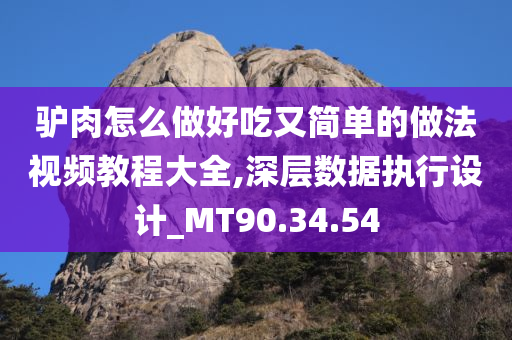 驴肉怎么做好吃又简单的做法视频教程大全,深层数据执行设计_MT90.34.54