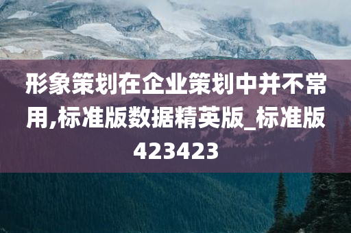 形象策划在企业策划中并不常用,标准版数据精英版_标准版423423