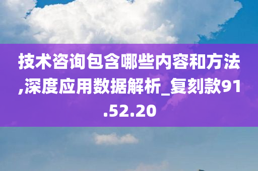 技术咨询包含哪些内容和方法,深度应用数据解析_复刻款91.52.20