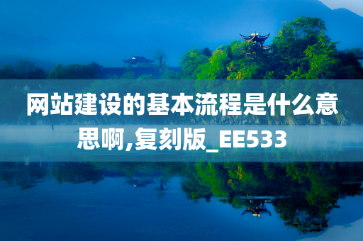 网站建设的基本流程是什么意思啊,复刻版_EE533