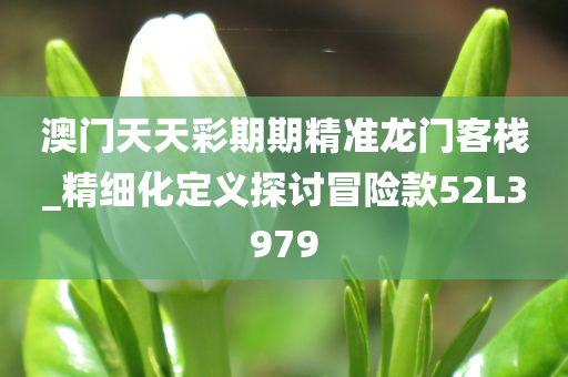 澳门天天彩期期精准龙门客栈_精细化定义探讨冒险款52L3979