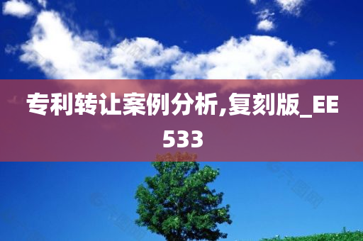 专利转让案例分析,复刻版_EE533