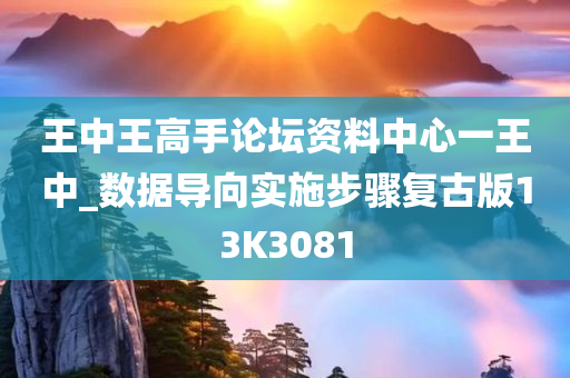 王中王高手论坛资料中心一王中_数据导向实施步骤复古版13K3081