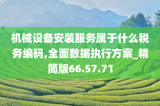 机械设备安装服务属于什么税务编码,全面数据执行方案_精简版66.57.71