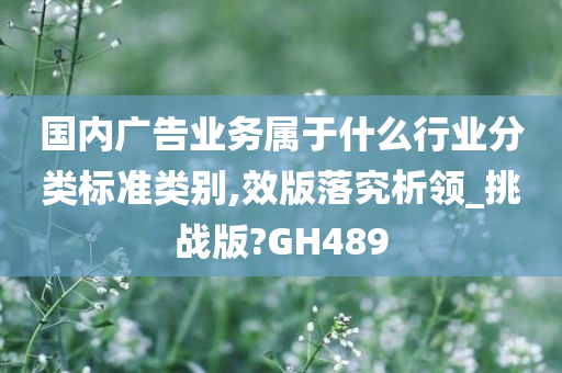 国内广告业务属于什么行业分类标准类别,效版落究析领_挑战版?GH489