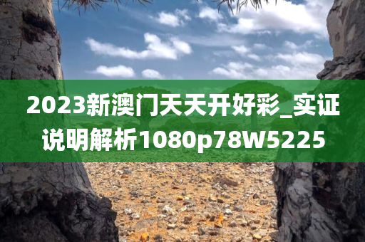 2023新澳门天天开好彩_实证说明解析1080p78W5225