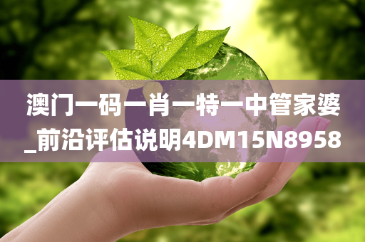 澳门一码一肖一特一中管家婆_前沿评估说明4DM15N8958