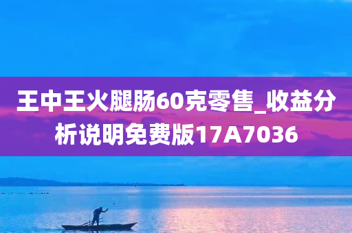 王中王火腿肠60克零售_收益分析说明免费版17A7036