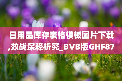 日用品库存表格模板图片下载,效战深释析究_BVB版GHF87