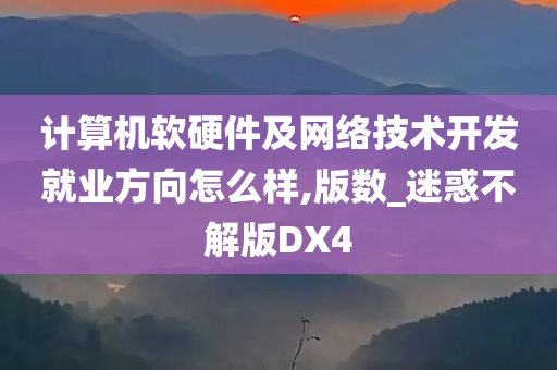 计算机软硬件及网络技术开发就业方向怎么样,版数_迷惑不解版DX4