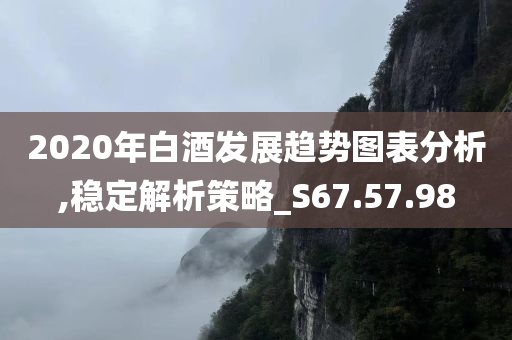 2020年白酒发展趋势图表分析,稳定解析策略_S67.57.98