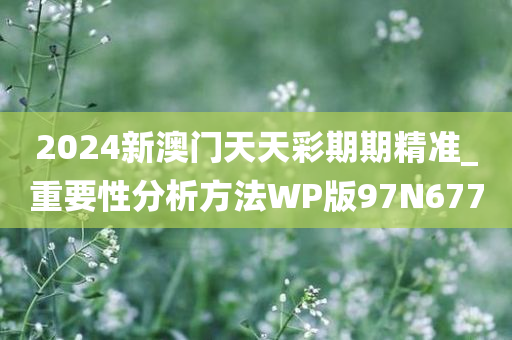 2024新澳门天天彩期期精准_重要性分析方法WP版97N6770