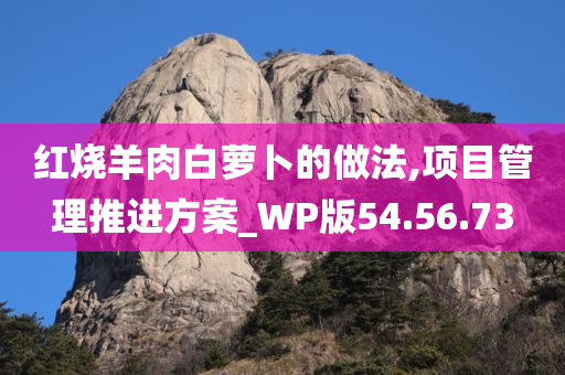 红烧羊肉白萝卜的做法,项目管理推进方案_WP版54.56.73