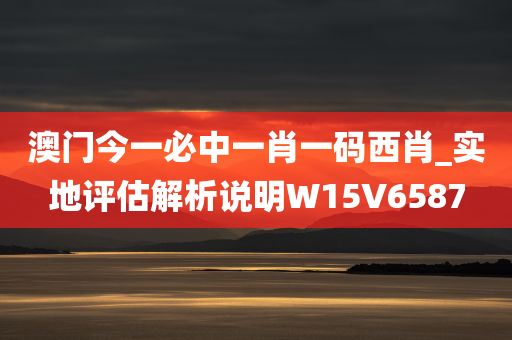 澳门今一必中一肖一码西肖_实地评估解析说明W15V6587