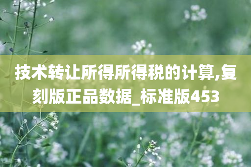 技术转让所得所得税的计算,复刻版正品数据_标准版453