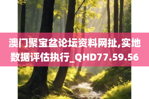 澳门聚宝盆论坛资料网扯,实地数据评估执行_QHD77.59.56