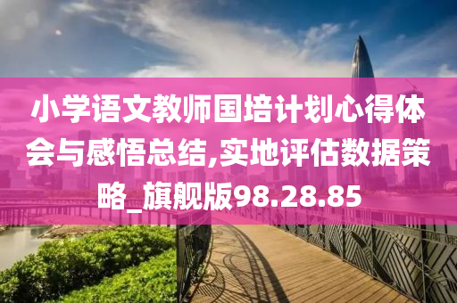 小学语文教师国培计划心得体会与感悟总结,实地评估数据策略_旗舰版98.28.85