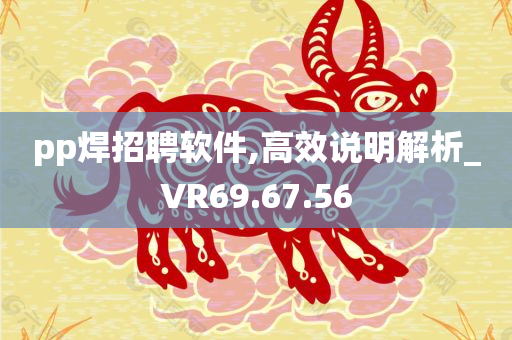 pp焊招聘软件,高效说明解析_VR69.67.56