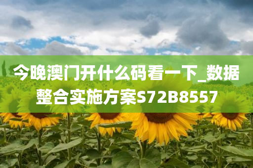 今晚澳门开什么码看一下_数据整合实施方案S72B8557