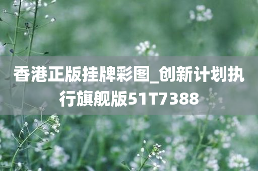 香港正版挂牌彩图_创新计划执行旗舰版51T7388