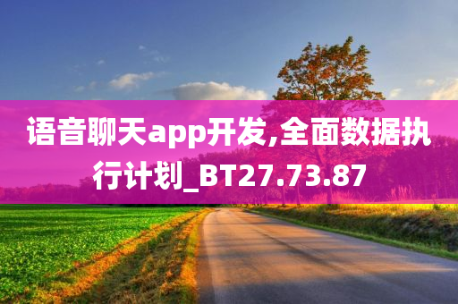 语音聊天app开发,全面数据执行计划_BT27.73.87