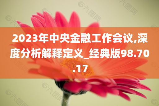 2023年中央金融工作会议,深度分析解释定义_经典版98.70.17