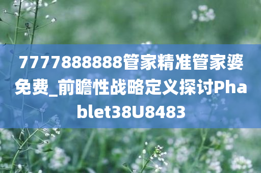 7777888888管家精准管家婆免费_前瞻性战略定义探讨Phablet38U8483