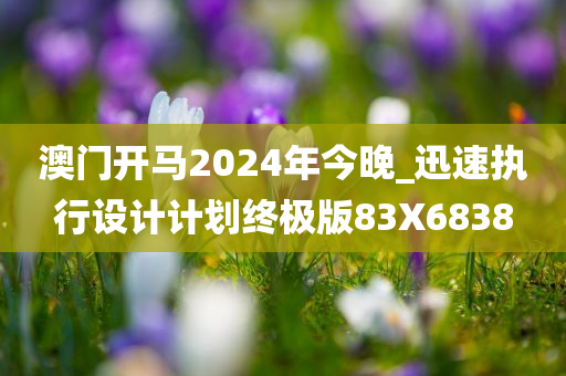 澳门开马2024年今晚_迅速执行设计计划终极版83X6838