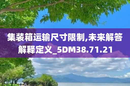 集装箱运输尺寸限制,未来解答解释定义_5DM38.71.21