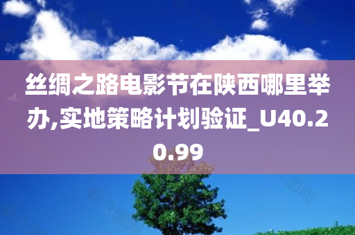 丝绸之路电影节在陕西哪里举办,实地策略计划验证_U40.20.99