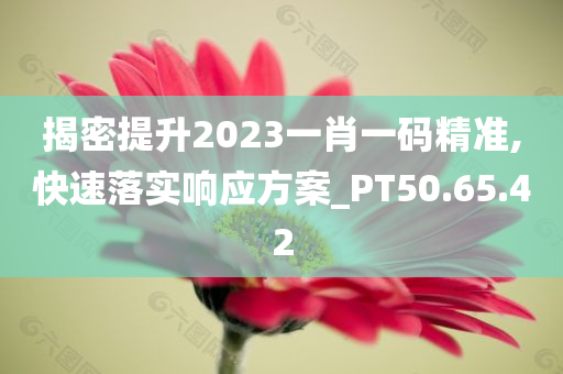 揭密提升2023一肖一码精准,快速落实响应方案_PT50.65.42