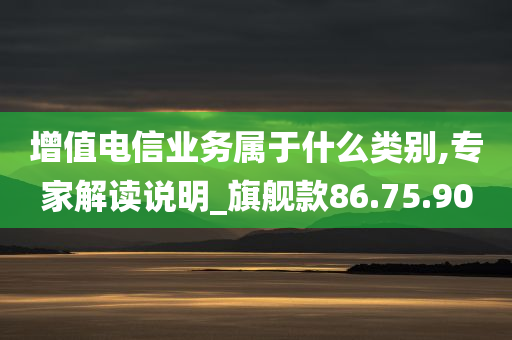 增值电信业务属于什么类别,专家解读说明_旗舰款86.75.90